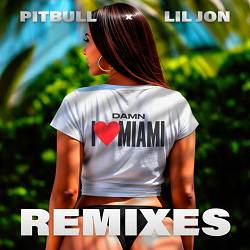 Pitbull, Lil Jon - Damn I Love Miami