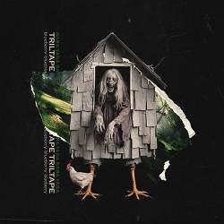TRILTAPE, blueberry - BABA YAGA