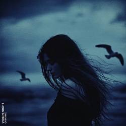 OKINXWX - Violin Night