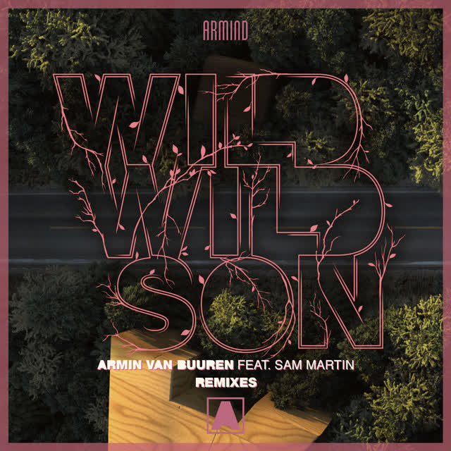 Armin van Buuren, Sam Martin, Richard Durand - Wild Wild Son - Richard Durand Remix