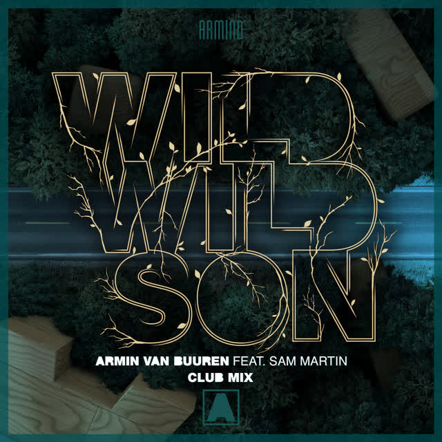 Armin van Buuren, Sam Martin - Wild Wild Son - Club Mix