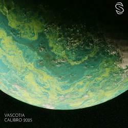 Vascotia, Misja Helsloot - Calibro - Misja Helsloot Remix