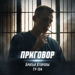 БРАТЬЯ ЕГОРОВЫ, ТУ-134 - Приговор